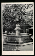 AK Pirmasens, Blick Auf Den Schusterbrunnen  - Pirmasens