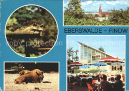 72213908 Finow Eberswalde Tierpark Waschbaer Bueffel Kirche Restaurant Finow Ebe - Eberswalde