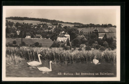 AK Seengen, Bad Brestenberg, Kurhaus Am Hallwilersee  - Otros & Sin Clasificación