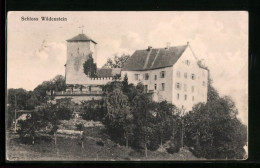 AK Wildegg, Blick Auf Das Schloss Wildenstein  - Otros & Sin Clasificación