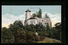 AK Birseck, Schloss Birseck  - Altri & Non Classificati