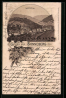 Lithographie Sonneberg I. Thür., Schlossberg Aus Der Vogelschau  - Sonneberg
