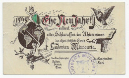 Ludiovica Missouria, New Year Card New York, 1894, Saint Louis To Austria Ölmütz - Otros & Sin Clasificación