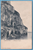 1721 GIBRALTAR MONKEY'S CAVES CUEVAS DE MONOS RARE POSTCARD - Gibraltar