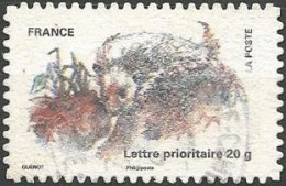 FRANCE AUTOADHESIF N° 528 OBLITERE CACHET ROND - Used Stamps