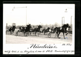 Foto-AK Berlin-Mariendorf, Trabrennen, Nuntius  - Hippisme