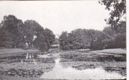 BIOUL ( Anhée ) - Le Chateau - Un Coin De L'étang - Anhee