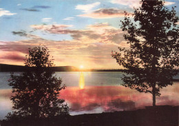 FINLANDE - Lappland - Mifnattssol - The Midgniht Sun Gives Lappland Tropical Colors - Carte Postale - Finnland