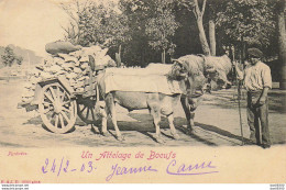 PYRENEES UN ATTELAGE DE BOEUFS - Attelages