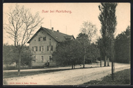 AK Moritzburg, Gasthof Auer  - Moritzburg