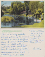 Postcard Rotorua Hamurana Springs 1938 - Neuseeland