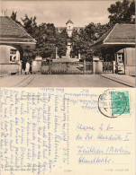 Bad Gottleuba-Berggießhübel DDR Ansicht FDGB Klinik Sanatorium 1961/1960 - Bad Gottleuba-Berggiesshuebel