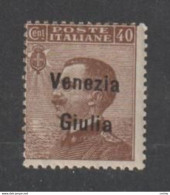 VENEZIA  GIULIA:  1918/19  SOPRASTAMPATO  -  40 C. BRUNO  N.  -  SASS. 25 - Venezia Giulia