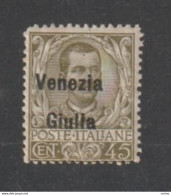 VENEZIA  GIULIA:  1918/19  SOPRASTAMPATO  -  45 C. OLIVA  N.  -  SASS. 26 - Venezia Giulia