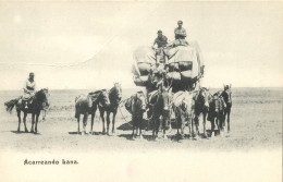 Argentina, Acarreando Lana, Carrying Wool (1900s) Postcard - Argentina