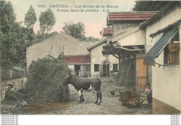 CRETEIL LES BORDS DE LA MARNE FERME DANS LA PRAIRIE - Creteil