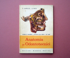 Capello Pace Anatomia Per Odontotecnici Ed. Minerva Medica 1968 - Zonder Classificatie