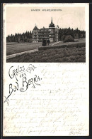 Lithographie Bad Berka A. Ilm, Hotel Kaiser Wilhelmsburg  - Bad Berka