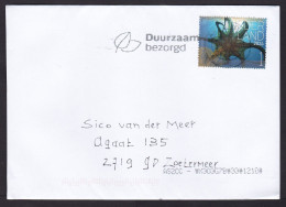 Netherlands: Cover, 2024, 1 Stamp, Octopus Fish From Bonaire Island, Dutch Antilles (traces Of Use) - Lettres & Documents