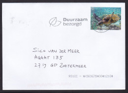 Netherlands: Cover, 2024, 1 Stamp, Green Sea Turtle Animal From Bonaire Island, Dutch Antilles (traces Of Use) - Covers & Documents