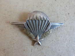 Brevet Parachutiste DRAGO O METRA - NUMEROTE 113353 (2) - Armée De Terre