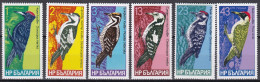 Bulgarien Bulgaria 1978 - Mi.Nr. 2701 - 2706- Postfrisch MNH - Tiere Animals Vögel Birds Spechte Woodpeckers - Piciformes (pájaros Carpinteros)