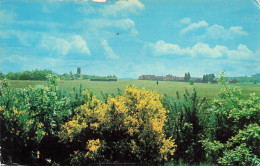 ROYAUME UNI - Tweseldown - Campagne - Fleurs Des Champs Et Prairie - 03/07/1979 - Carte Postale - Southampton