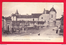 F-89-Courson-01P23  Le Château Et Les Promenades, Petite Animation, Cpa  - Courson-les-Carrières