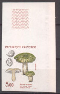 Superbe Coin De Feuille Série Champignons Palomet De 1987 YT 2491 Sans Trace De Charnière - Non Classés