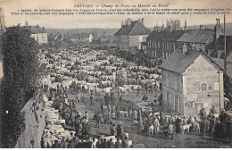 SAULIEU - Champ De Foire Au Marché Au Bétail - Très Bon état - Saulieu