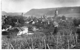 ARBOIS Et Son Vignoble - Vue Générale - Château Pecaud Et Tour De Vellefaux - Très Bon état - Arbois