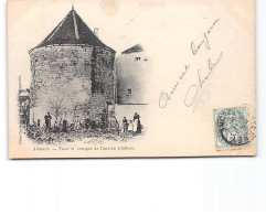 AMANCE - Tour Et Vestiges De L'ancien Château - Très Bon état - Amance