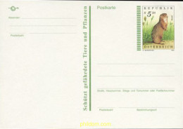 211753 MNH AUSTRIA 1994 FAUNA - Ongebruikt