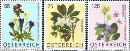 242495 MNH AUSTRIA 2007 FLORES - Nuovi