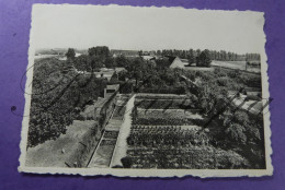 Kwatrecht Instituut Sint-Lodewijk Panorama Tuinen - Wetteren