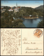 Ansichtskarte Bad Elster Louisa-See, Stadt, Anlegestelle 1917 - Bad Elster