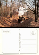 Bad Muskau Schmalspurbahn - Waldeisenbahn Muskau Im Muskauer Wald 1995 - Bad Muskau