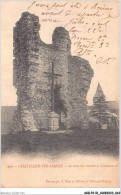 AGBP2-51-0118 - CHATILLON-SUR-MARNE - Ruine Du Chateau D'urbain II - Châtillon-sur-Marne