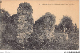 AGNP11-0866-53 - BAIS -  Le Rubricaire - Ruines Gallo-romaines - Bais