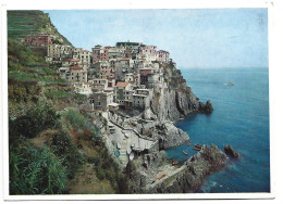 CINQUE TERRE.- MANAROLA.- ( ITALIA ). - La Spezia