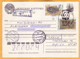 1993 Moldova Moldavie, FDC  Fauna, Snakes, Nature, WWF, Used - Snakes