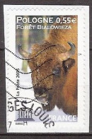 France - Service YT 132 (2005) U.N.E.S.C.O. Bison De La Forêt De Bialowieza (Pologne) Oblitéré - Usados