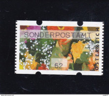 Austria Österreich 2013 Austria Österreich Automatennmarken Mi. 31 **MNH Sonderpostamt - Viñetas De Franqueo [ATM]