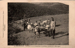 N°5700 W -cpa Charriots Turcs Transportant Les Cailloux Extraits De La Montagne- - North Macedonia