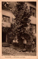 N°5719 W -cpa Riquewihr -intérieur De Cour- - Riquewihr