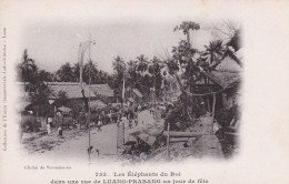 LAOS - Les éléphants Du Roi Dans Une Rue De Luang-Prabang Un Jour De Fête Indochine Sesmaisons N° 733 - Laos