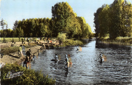 Dordives La Baignade Sur Le Loing - Dordives