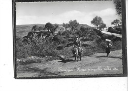 Europe-Italie- SARDEGNA- Ritmo Tranquilla Della Vita-L'homme Sur Sa Monture La Femme A Pied Et Portant  La Charge - Otros & Sin Clasificación