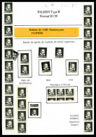 Pa 12, Palissy Type II: Ensemble De Variétés Diverses Présentées Sur Page. TB  Qualité: **   - Proefdrukken, , Niet-uitgegeven, Experimentele Vignetten