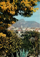 06 VENCE - Vence